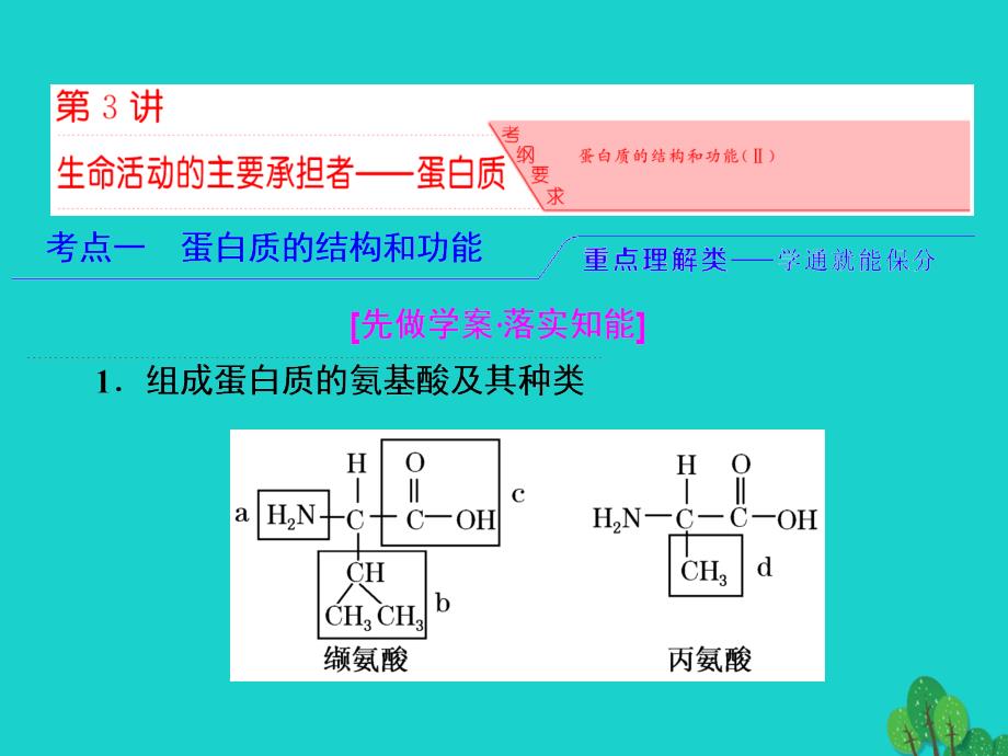 高考生物 第一单元 细胞及其分子组成 第3讲 生命活动的主要承担者-蛋白质（必修1）_第2页