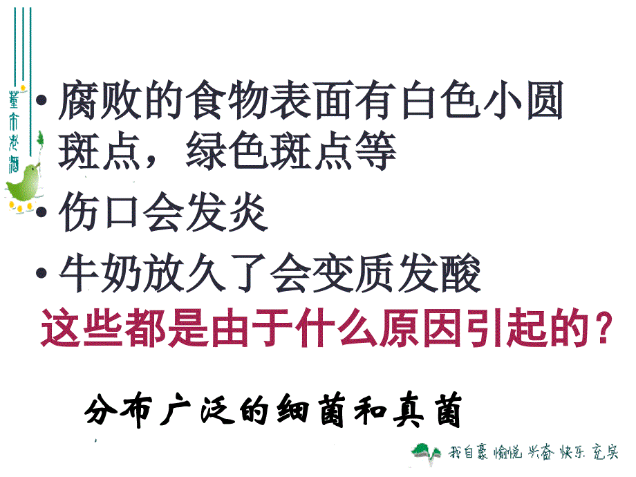 12第五单元第四章第一节细菌和真菌的分布_第1页