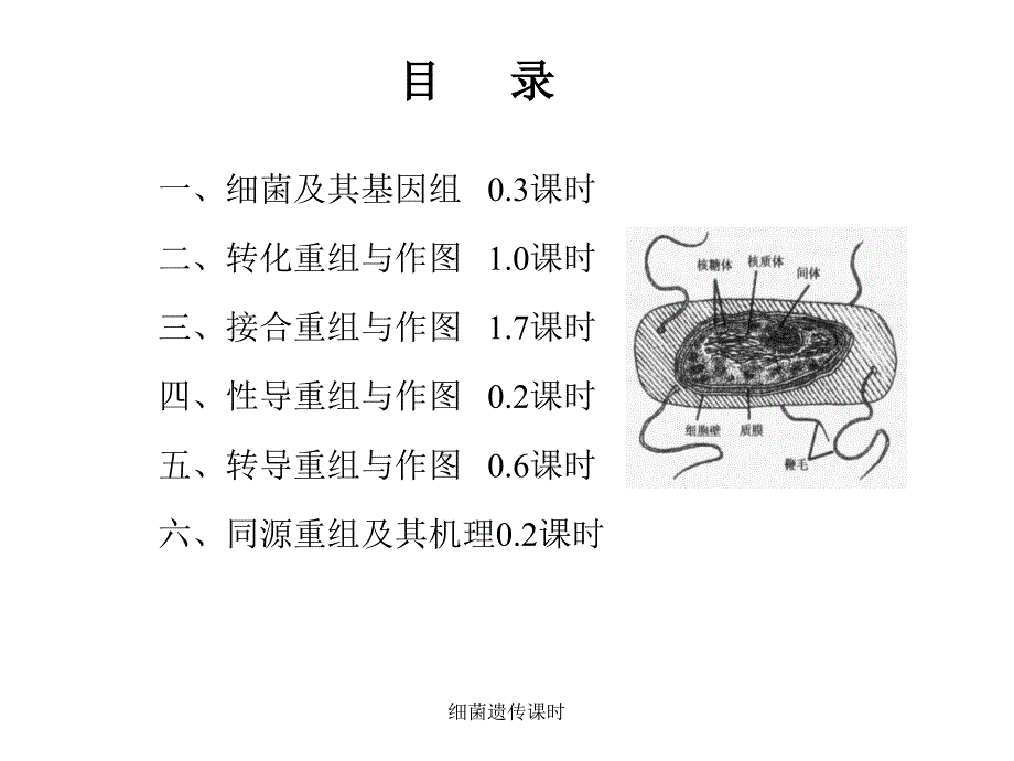 细菌遗传课时课件_第2页