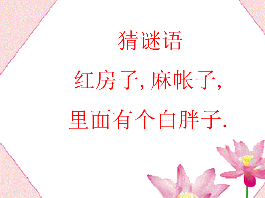 16小松鼠找花生_第1页