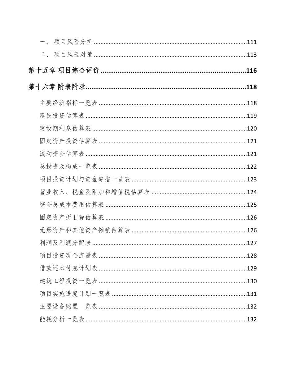 宿州行车记录仪项目可行性研究报告(DOC 90页)_第5页