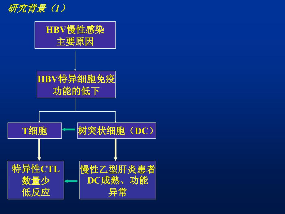 树突状细胞体外刺激对HBV特异性细胞毒T细胞影响的研究_第3页