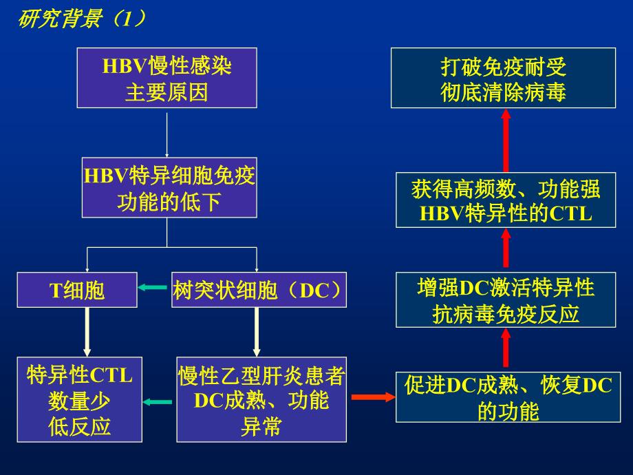 树突状细胞体外刺激对HBV特异性细胞毒T细胞影响的研究_第4页