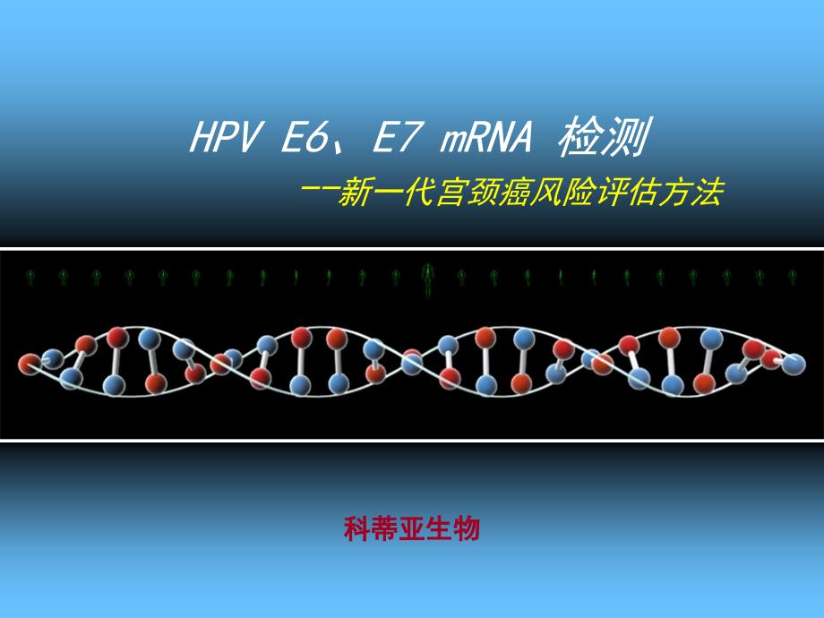 宫颈癌基因E6、E7mRNA检测_第2页