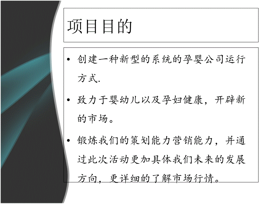 XXX孕婴公司一条龙服务策划方案.ppt_第3页