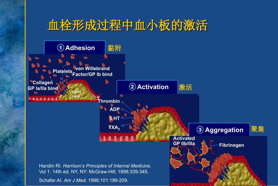 欣维宁盐酸替罗非班在急性冠脉综合症的临床应用床应用_第3页