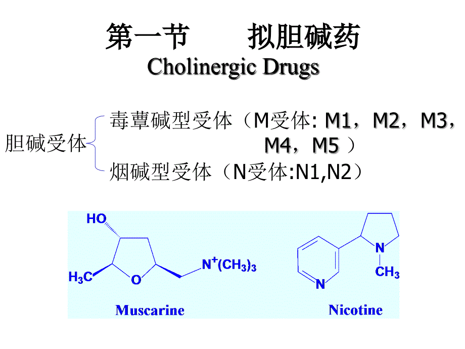 第三章外周神经系统药物PeripheralNervousSystemDrugs_第2页