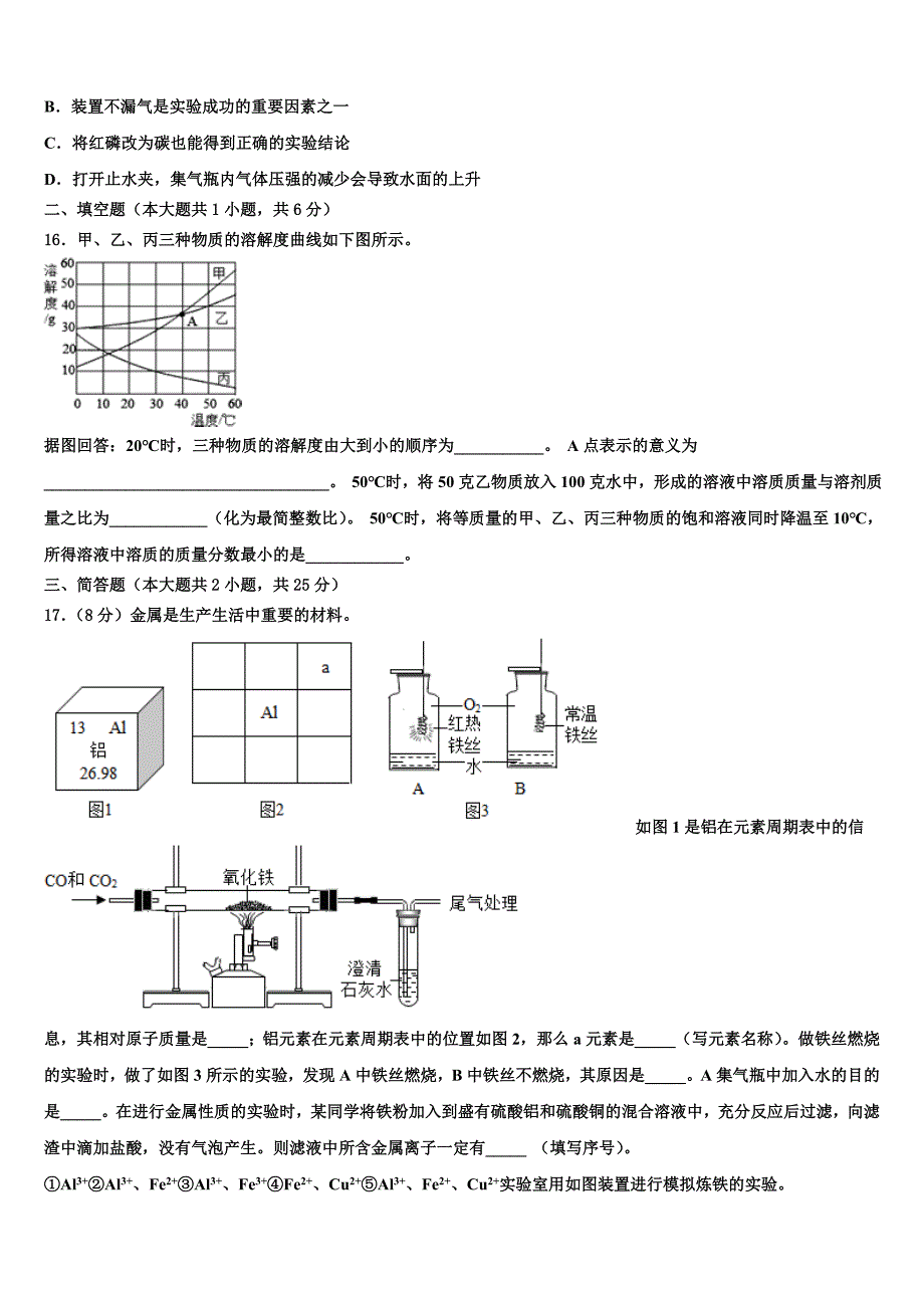 2023学年安徽省天长市龙岗中学中考化学押题试卷（含答案解析）.doc_第4页