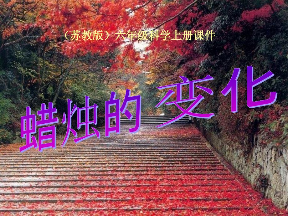 苏科学课件教版六年级科学蜡烛的变化课件1_第1页