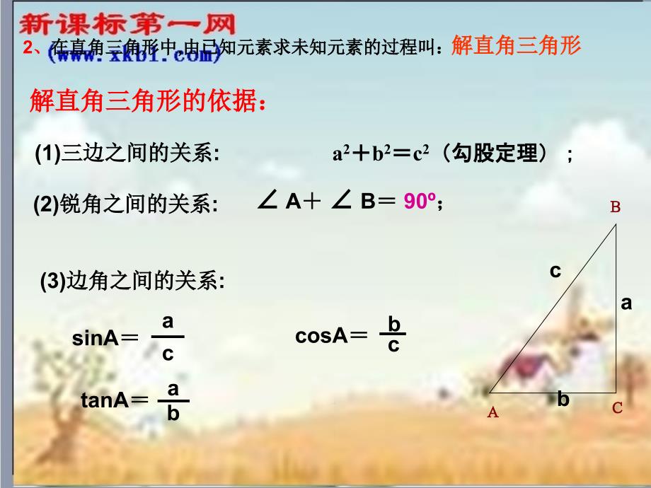 解直角三角形书精品教育_第3页