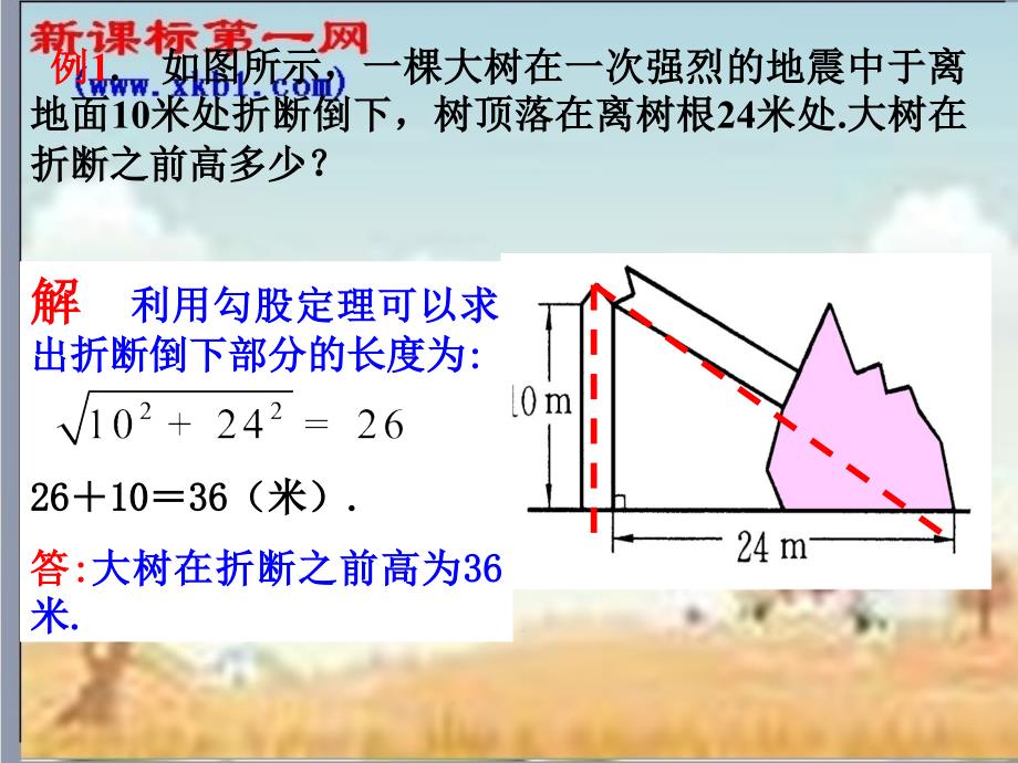 解直角三角形书精品教育_第4页