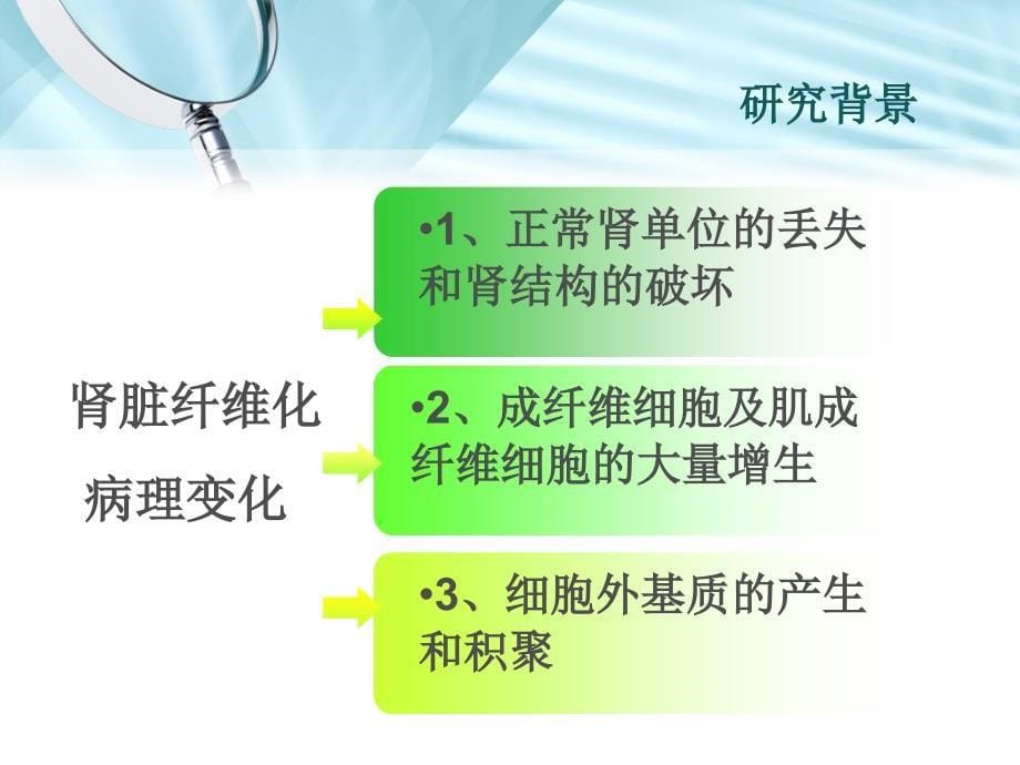 大黄素对白蛋白诱导人肾小管上皮细胞转分化的影响_第5页