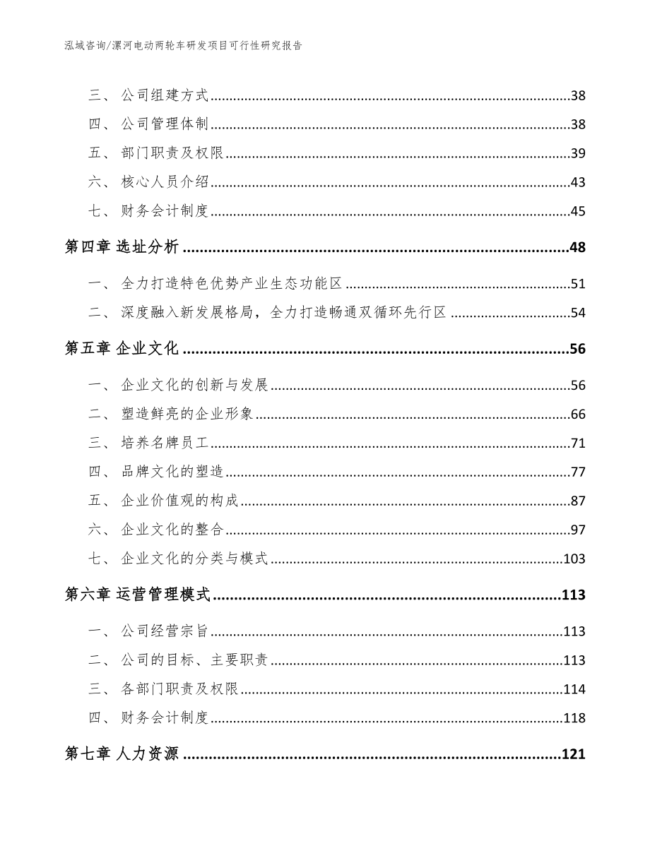 漯河电动两轮车研发项目可行性研究报告（范文模板）_第3页