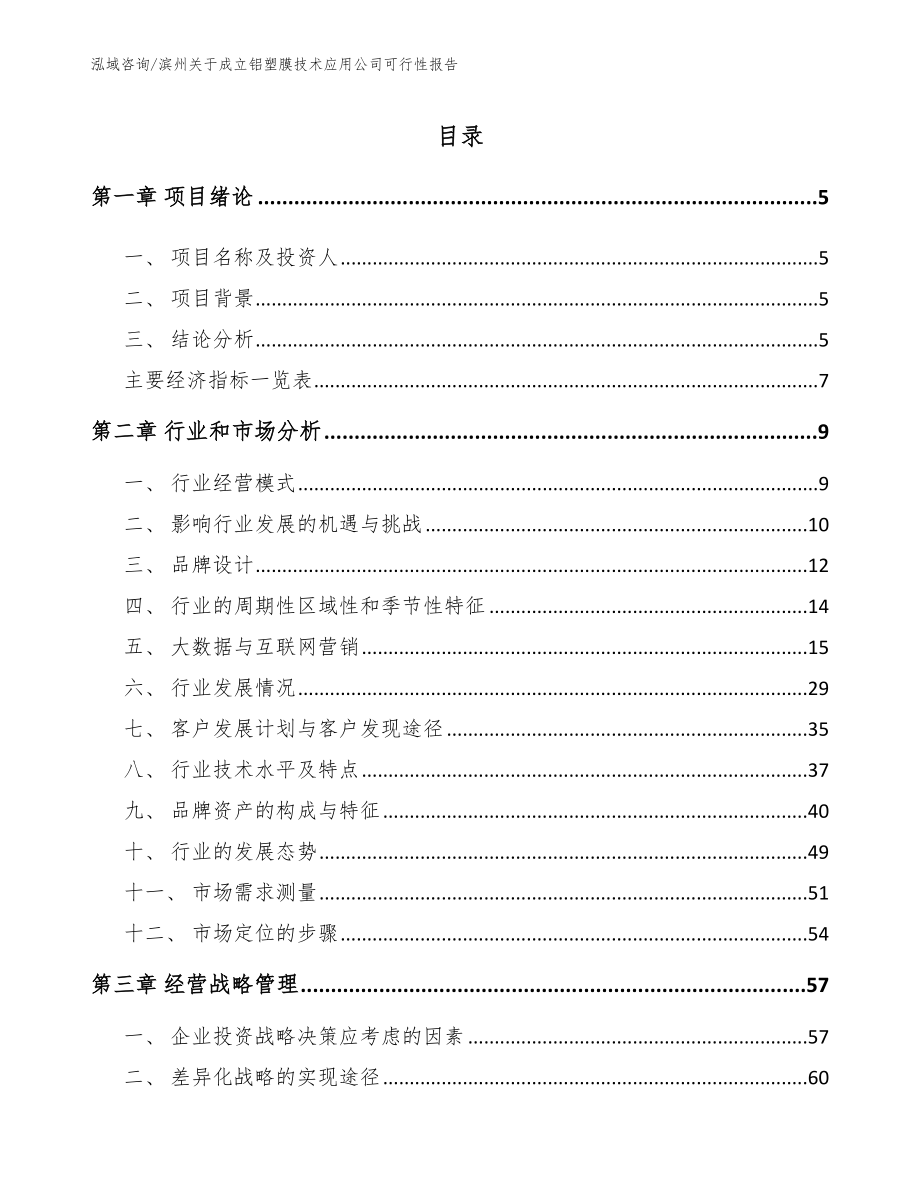 滨州关于成立铝塑膜技术应用公司可行性报告（范文模板）_第1页