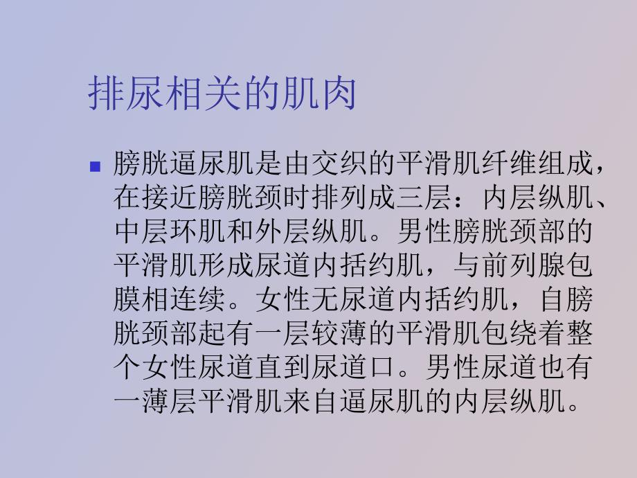 膀胱的神经支配和神经原性膀胱_第3页