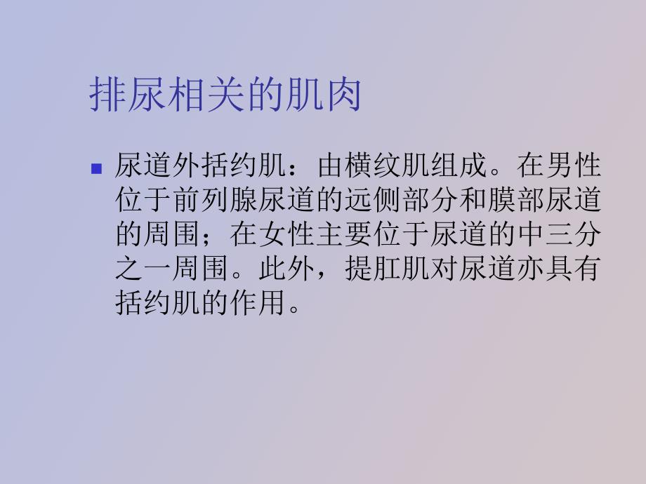 膀胱的神经支配和神经原性膀胱_第4页