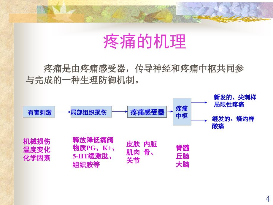 癌痛的评估及护理ppt参考课件_第4页