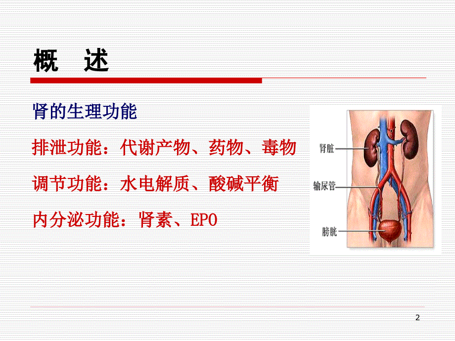 （优质课件）病理生理学-肾功能不全_第2页