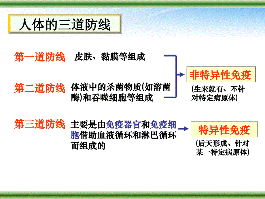 高中生物教师竞赛作品免疫调节课件新人教版必修1_第4页