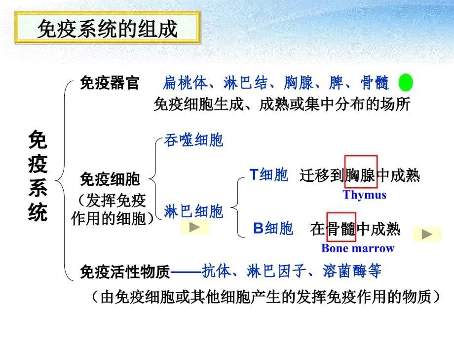 高中生物教师竞赛作品免疫调节课件新人教版必修1_第5页