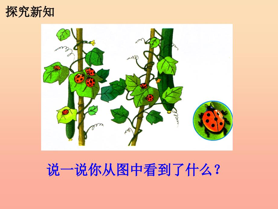 2019年二年级数学上册7.17的乘法口诀教学课件冀教版.ppt_第4页