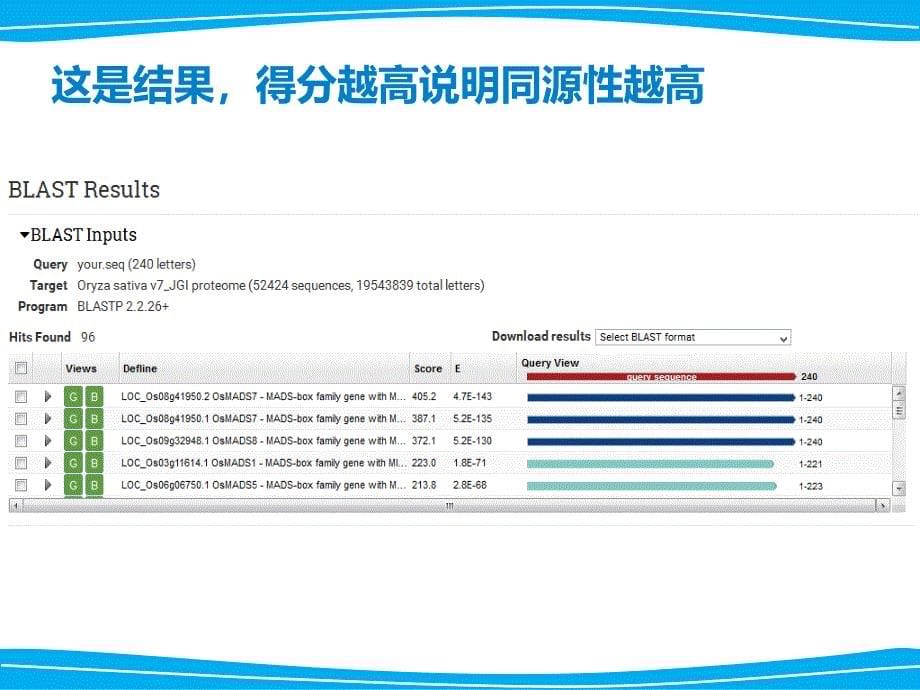 如何找同源基因并用DNAman比对序列_第5页