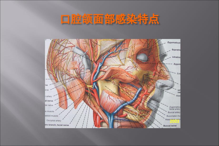 口腔颌面部感染_第2页