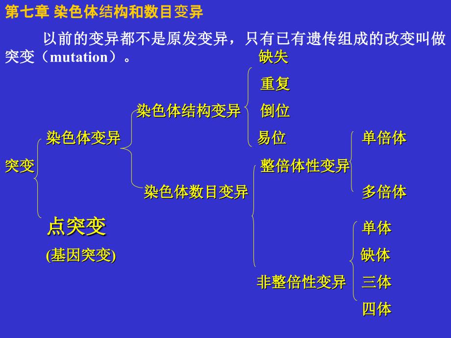 第六章染色体_第1页