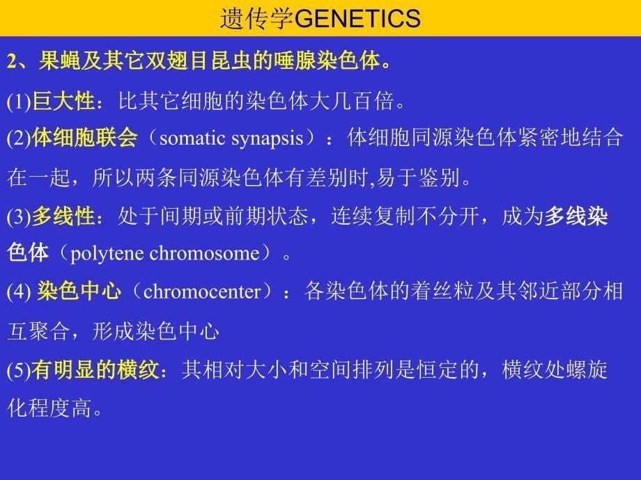 第六章染色体_第5页