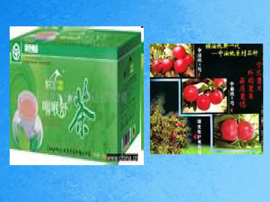 高中生物第2章生物科学与农业2.5绿色食品的生产2ppt课件_第3页