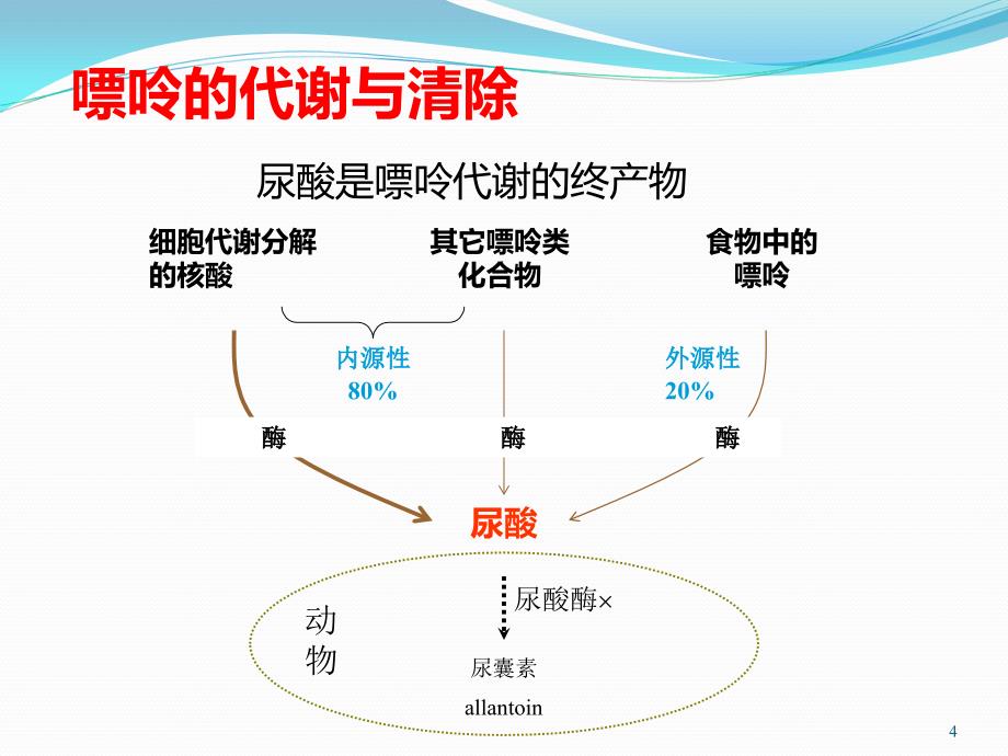 高尿酸血症和痛风性关节炎的诊治医学课件_第4页