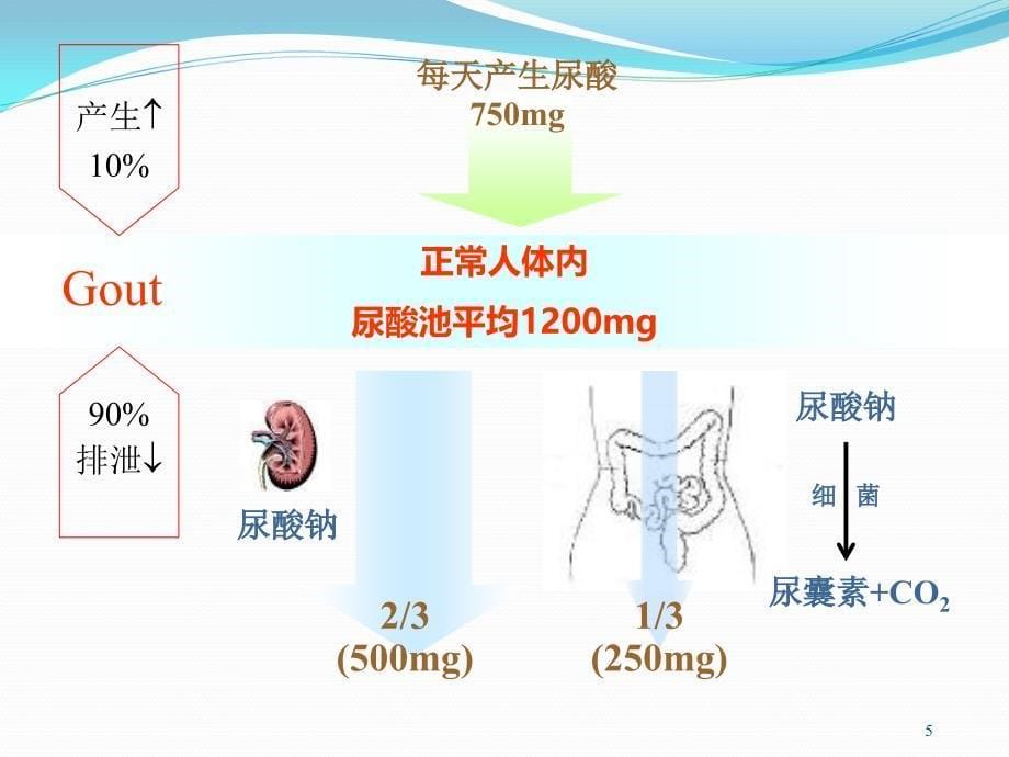 高尿酸血症和痛风性关节炎的诊治医学课件_第5页