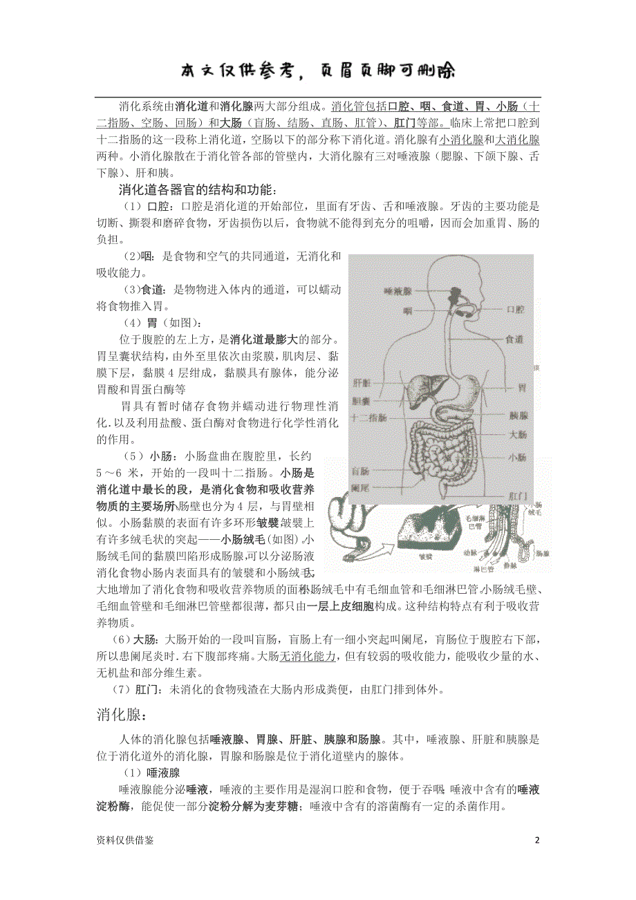 消化系统的组成和功能（仅供参考）_第2页