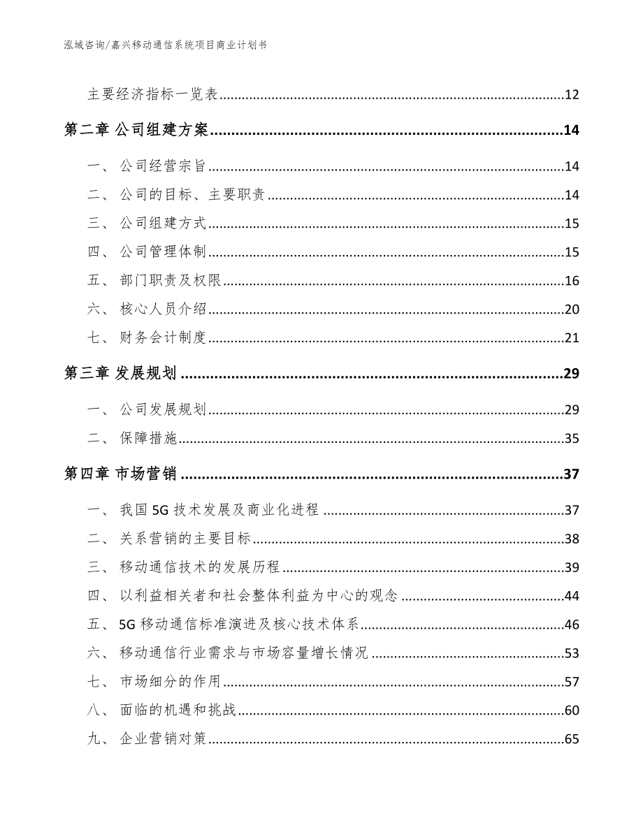 嘉兴移动通信系统项目商业计划书_第3页