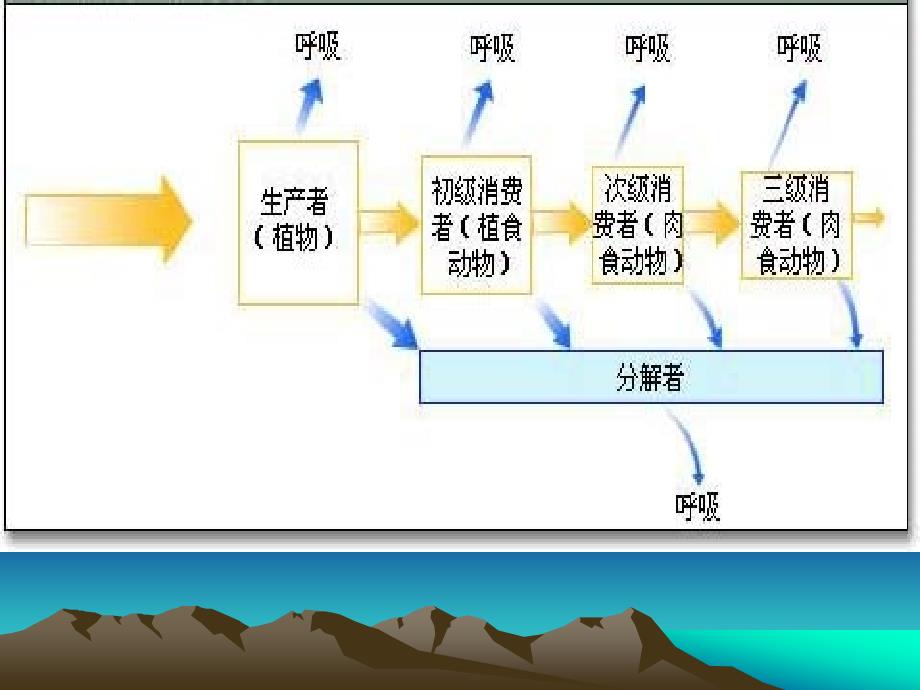 结构最复杂的生态系统是_第2页