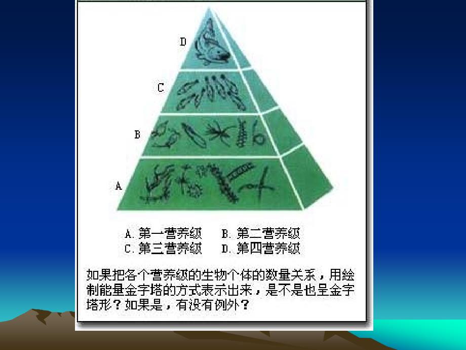 结构最复杂的生态系统是_第4页