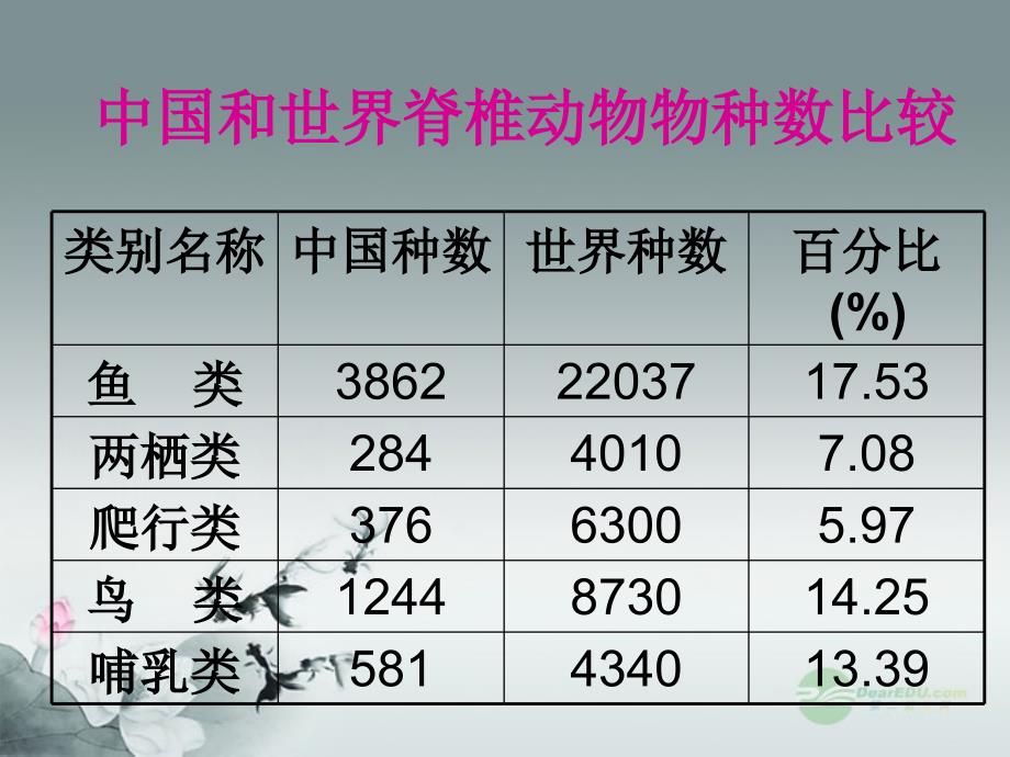 我国的动物资源2北师大版课件_第4页