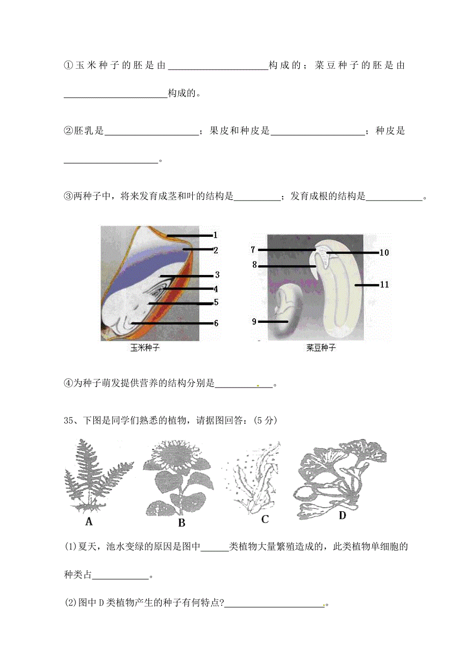 精选类山东省胶南市王台镇中心中学七年级生物第三单第一章测试题无答案_第4页