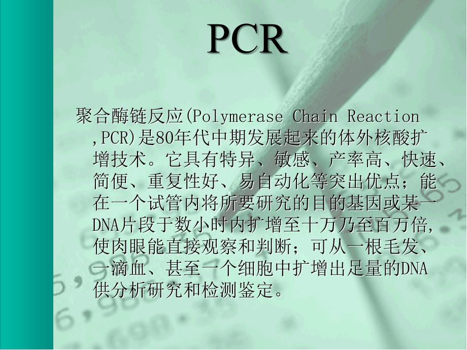 引物设计教程PPT_第3页