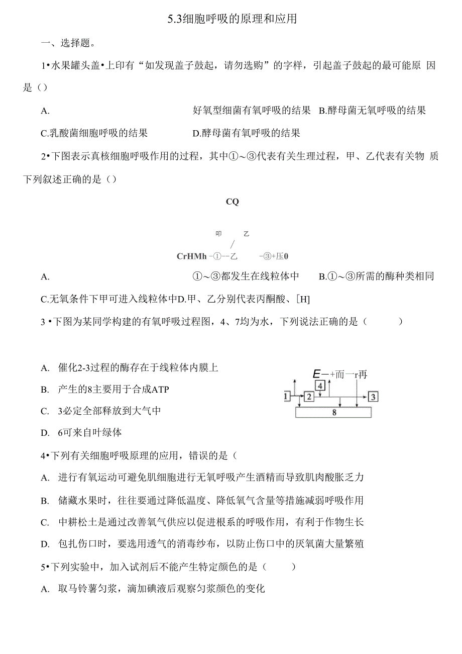 细胞呼吸的原理和应用_第1页