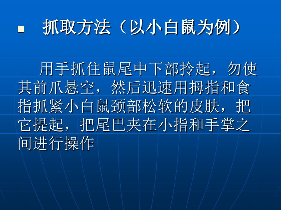 8哺乳动物的结构解剖_第3页