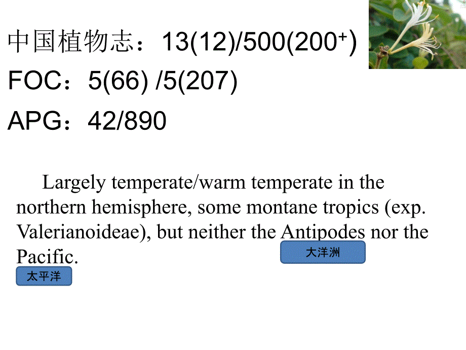 忍冬科植物简介_第2页