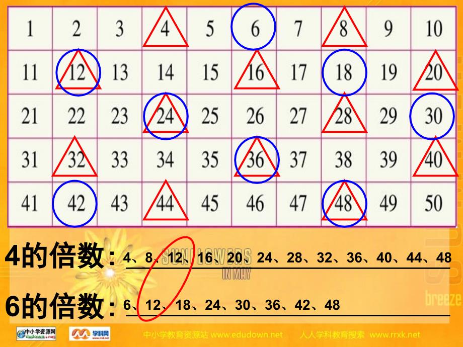 北师大版数学第九册找最小公倍数PPT课件胡鸿浩_第2页