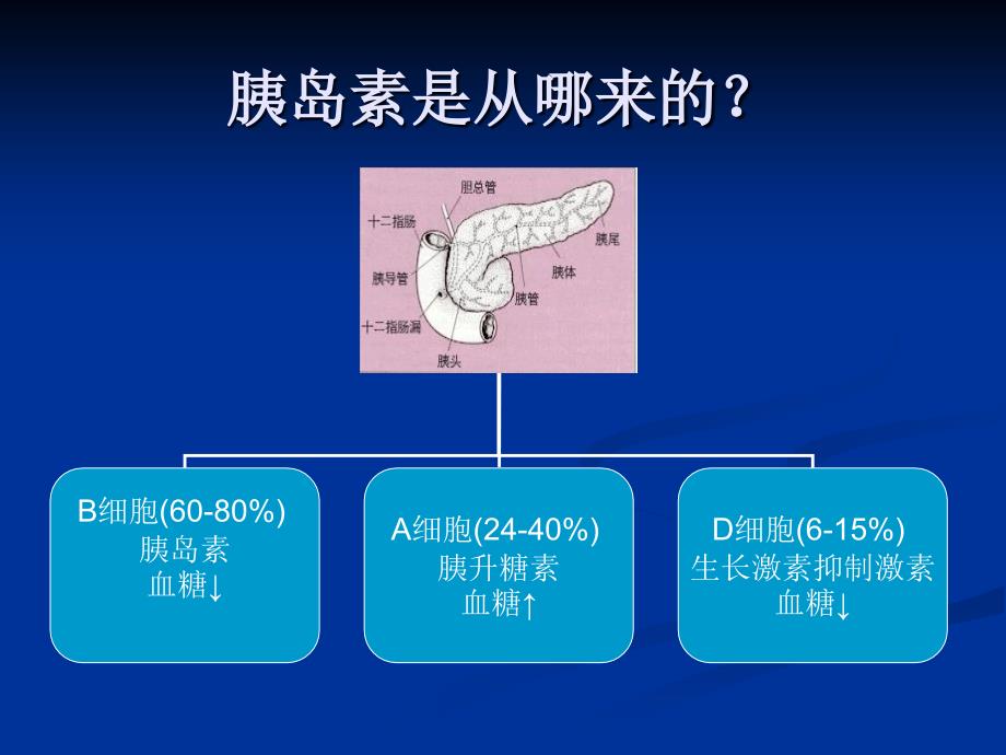 糖尿病病人的护理查房_第2页