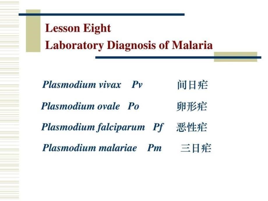 级检验英语演示文稿8_第5页