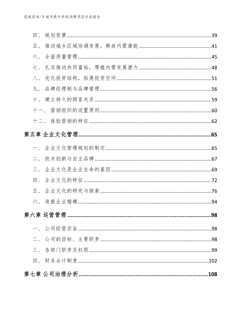 丰城市提升传统消费项目评估报告_第3页