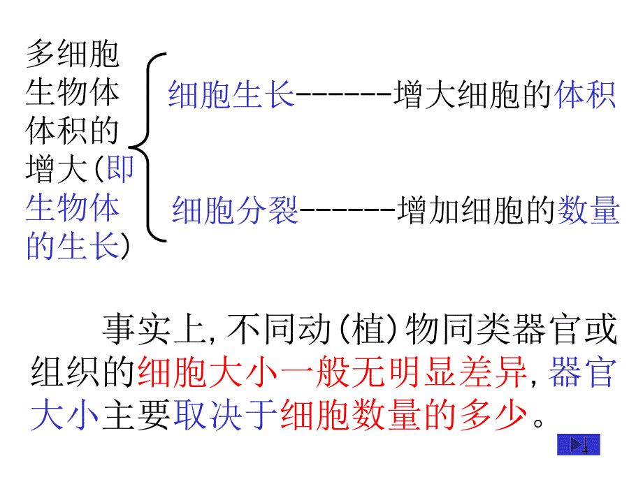 细胞的增殖公开课优秀课件_第4页