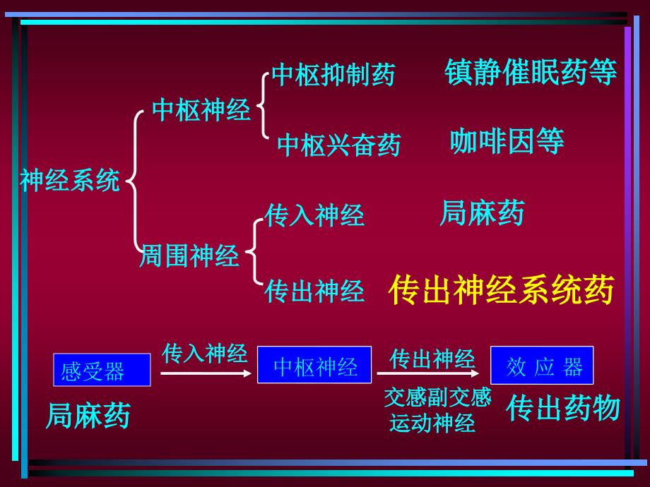 药理学课件传出神经系统1_第2页