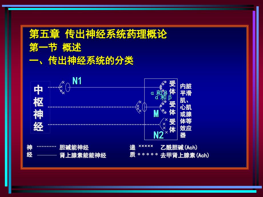 药理学课件传出神经系统1_第3页