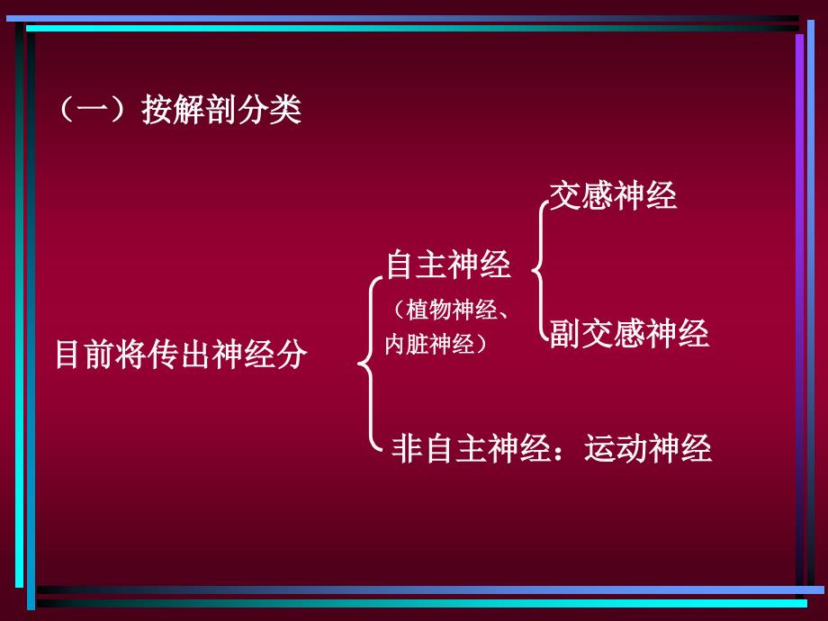 药理学课件传出神经系统1_第4页